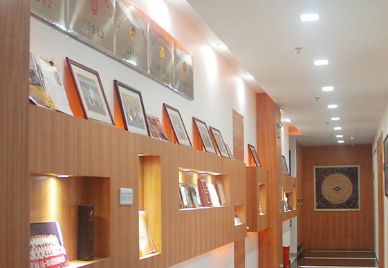 做為國產工業內窺鏡設備老品牌廠家，深圳亞泰光電深耕工業內窺鏡、工業管道內窺鏡、工業視頻內窺鏡等20余載，自主研發生產內窺鏡產品具有多項發明專利，內窺鏡廠家直銷，價格優惠。